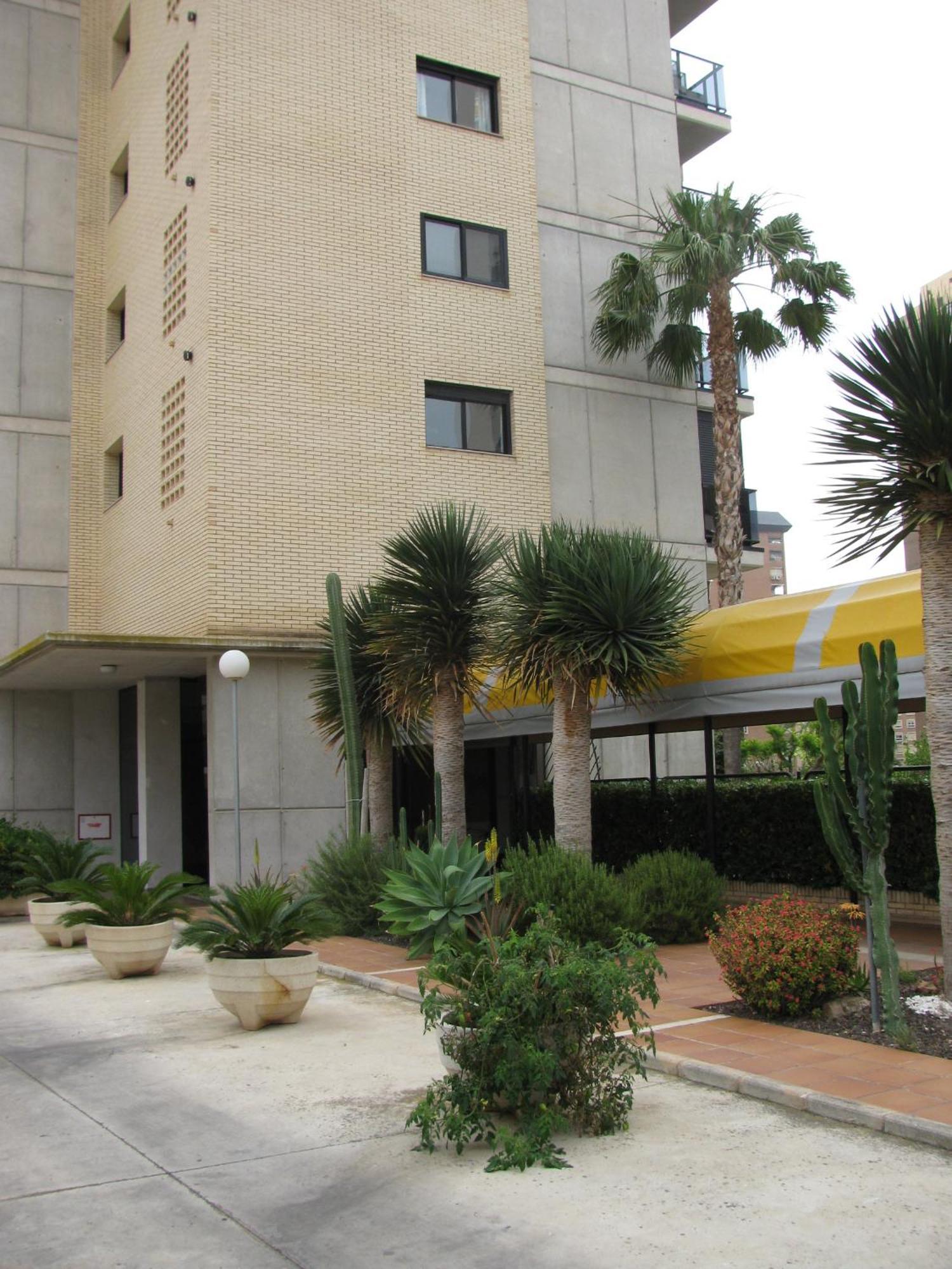 Apartamentos Torre Ipanema Benidorm Zewnętrze zdjęcie