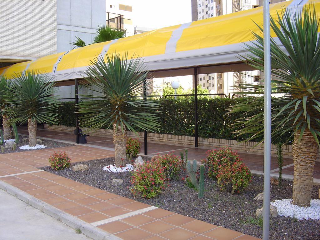 Apartamentos Torre Ipanema Benidorm Zewnętrze zdjęcie
